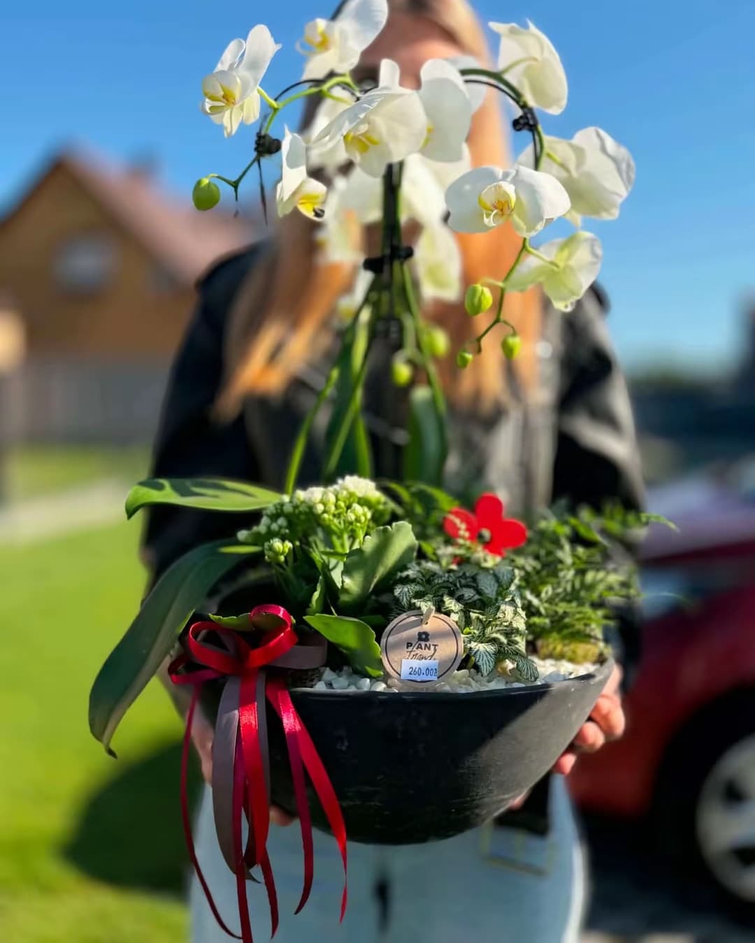 Elegancka kompozycja orchidei