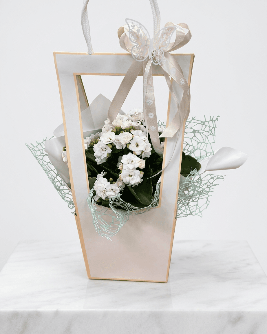 Kalanchoe w upominku